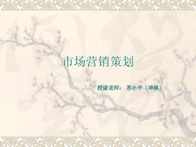 市场营销策划 项目4